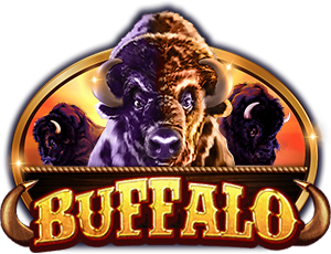 Buffalo