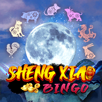 Sheng Xiao Bingo