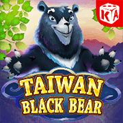 Taiwan Black Bear