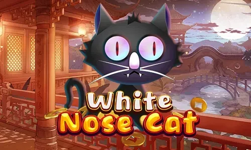 White Nose Cat