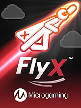 Fly X