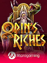 Odin's Riches