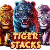 Tiger Stacks