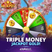 Triple Money Jackpot Gold!