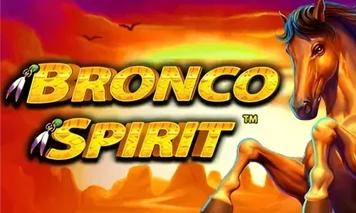 Bronco Spirit