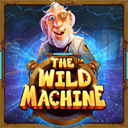 The Wild Machine