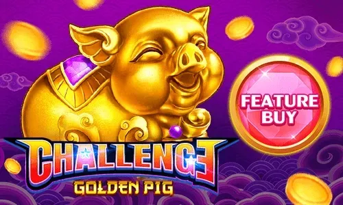 FEATURE BUY・Golden Pig