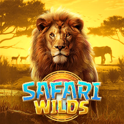 Safari Wilds