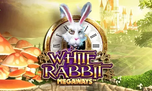 White Rabbit (NFD)