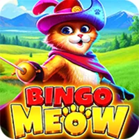 Bingo Meow