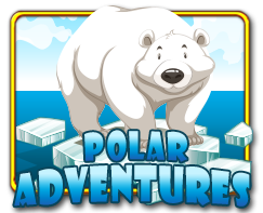 Polar Adventures