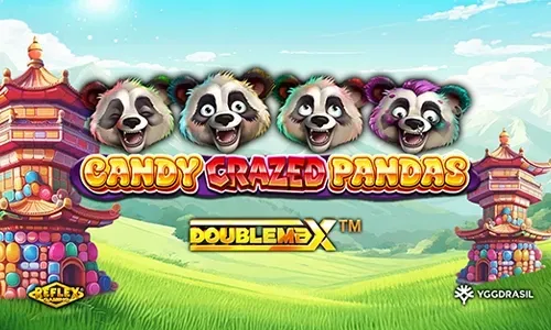 Candy Crazed Pandas DoubleMax