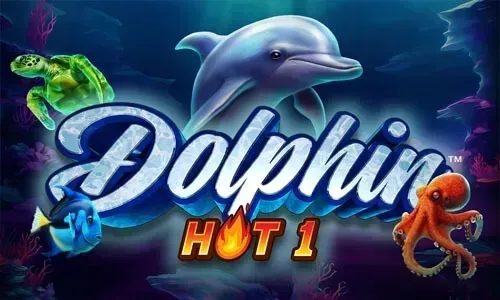 Dolphin Hot 1