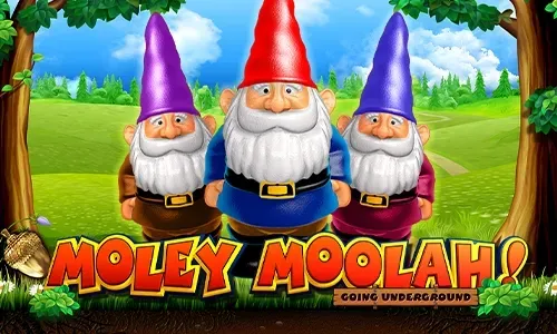 Moley Moolah